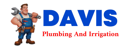 Trusted plumber in SILVANA